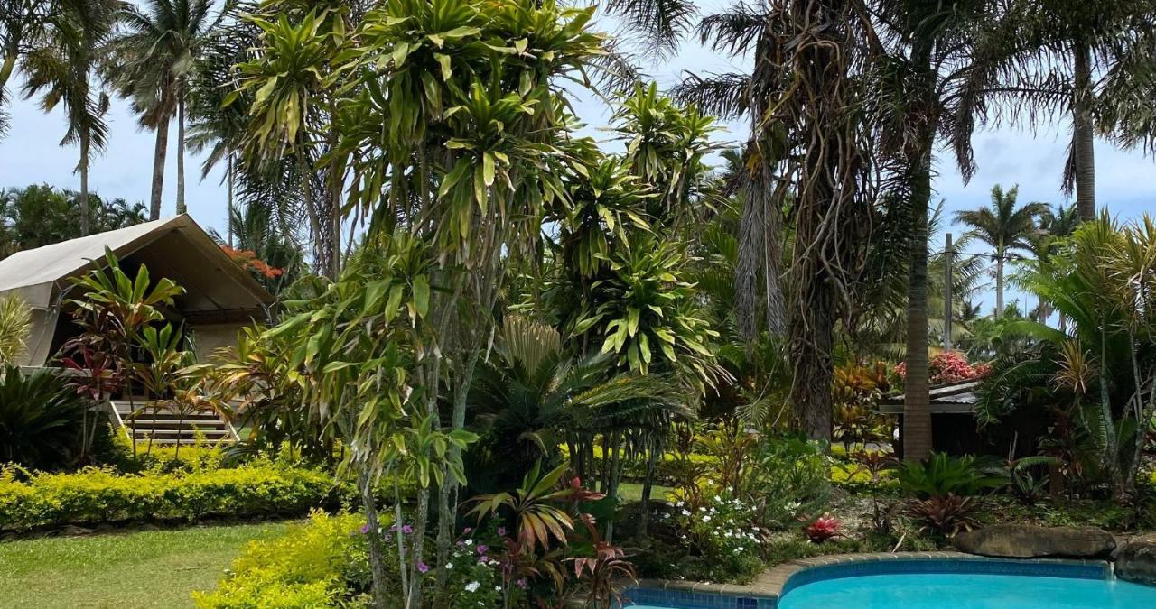 מלון רארוטונגה Ikurangi Eco Retreat מראה חיצוני תמונה