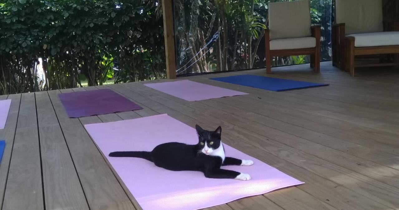 מלון רארוטונגה Ikurangi Eco Retreat מראה חיצוני תמונה