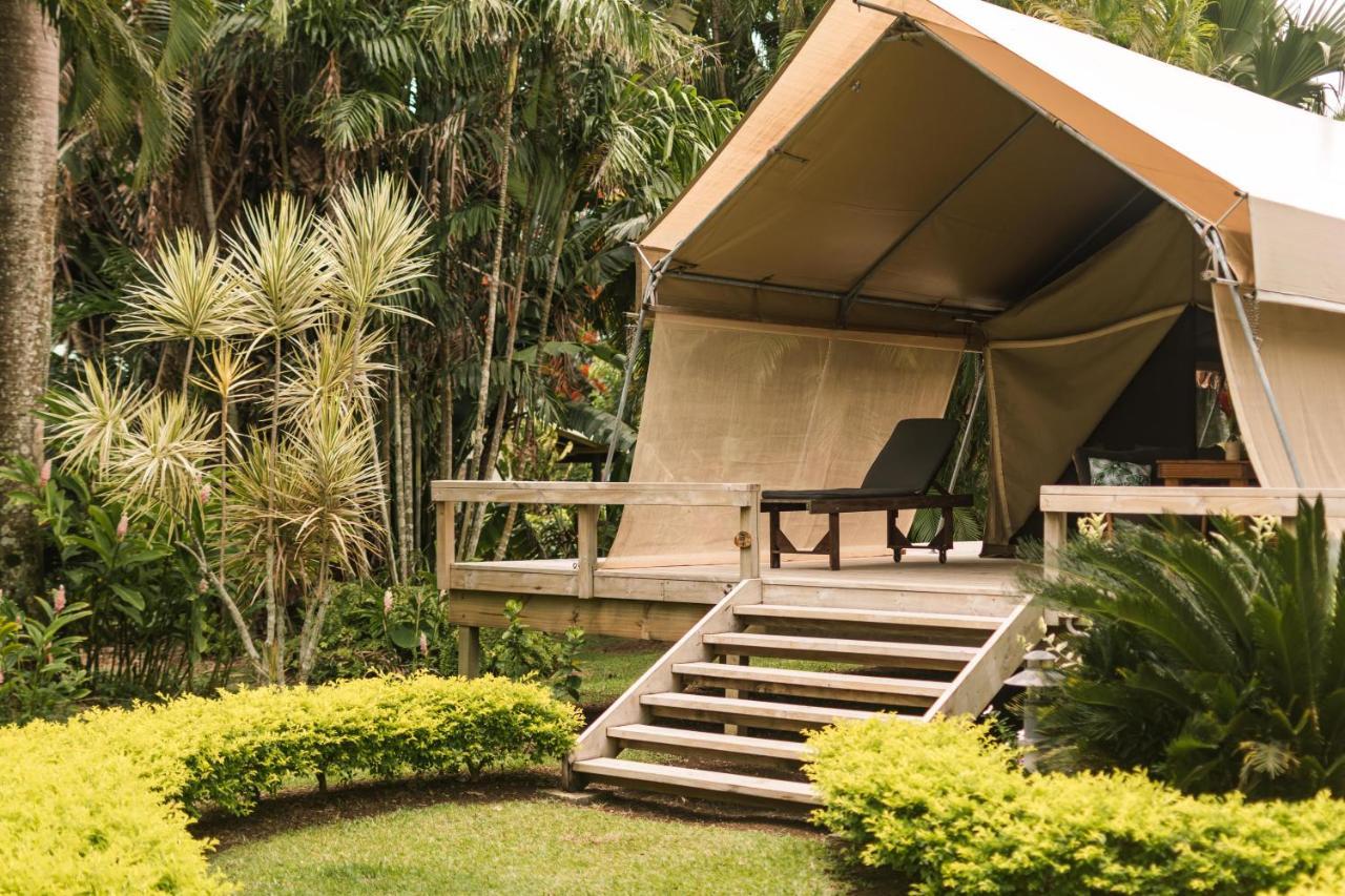 מלון רארוטונגה Ikurangi Eco Retreat מראה חיצוני תמונה