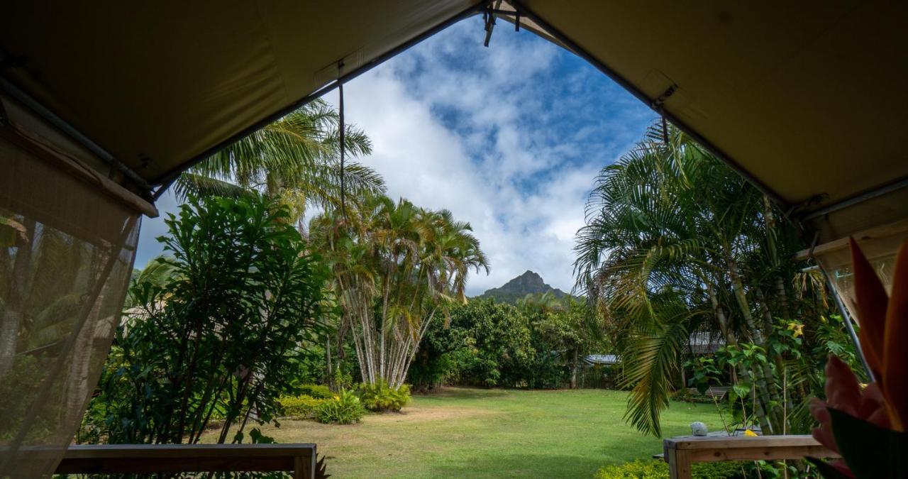 מלון רארוטונגה Ikurangi Eco Retreat מראה חיצוני תמונה