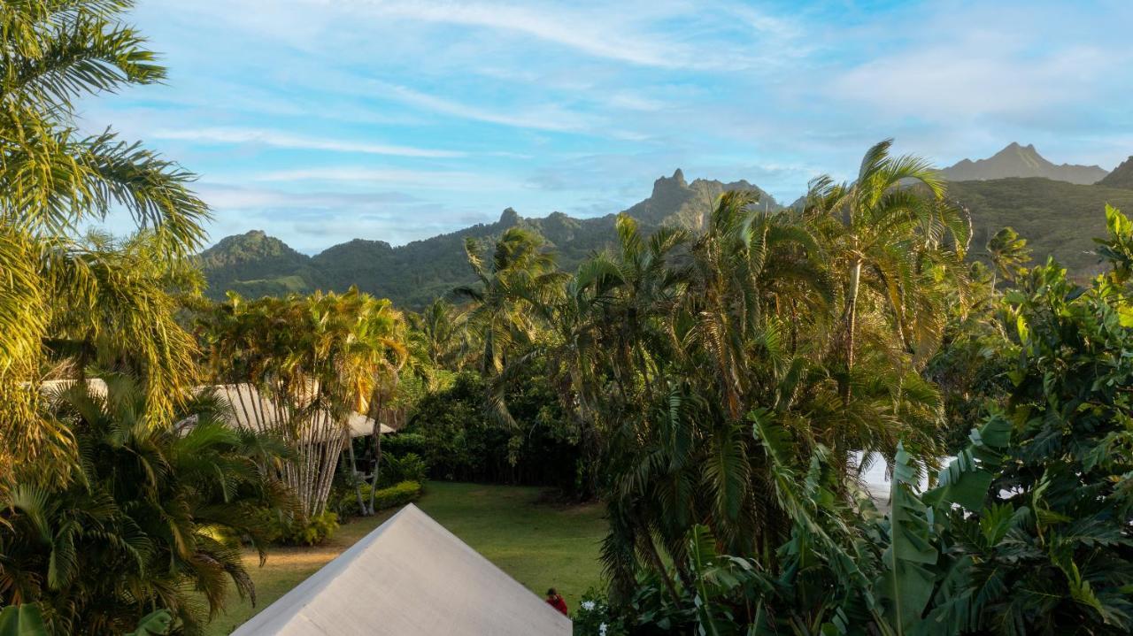 מלון רארוטונגה Ikurangi Eco Retreat מראה חיצוני תמונה